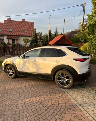 Mazda CX-30 cena 124950 przebieg: 51000, rok produkcji 2020 z Giżycko małe 631